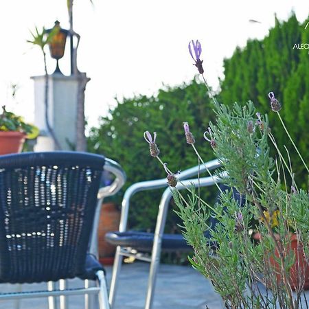 Alecrim Rosmaninho Guest House Pinhel Bagian luar foto
